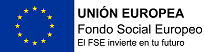 FSE castellà-ok web (1).png