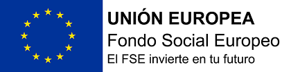 FSE castellà-ok web.png