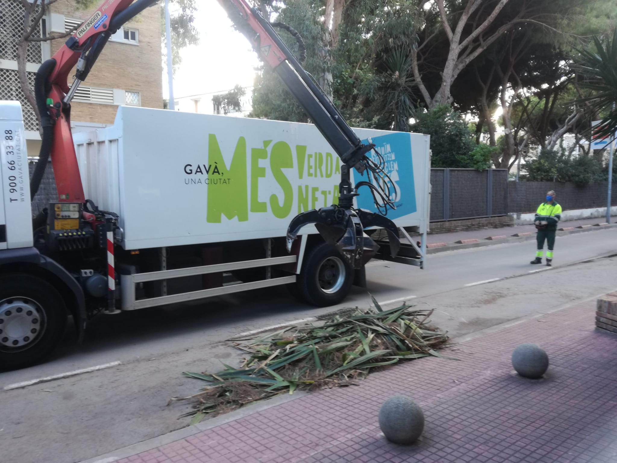 Es posa en marxa la nova taxa per a la recollida de la fracció vegetal