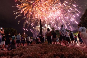 focs web.jpg