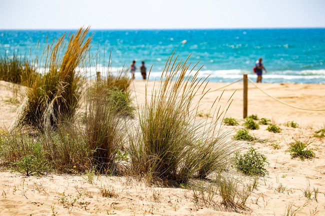 L’Ajuntament es prepara per a una reobertura segura de la platja a partir de dilluns