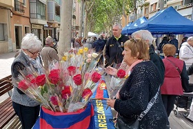 roses web.jpg