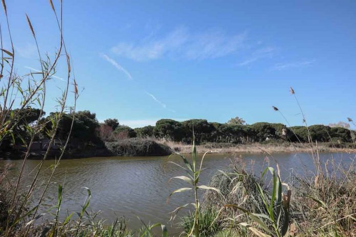 Jornada lúdica en el Estany de la Murtra el domingo 14 de marzo