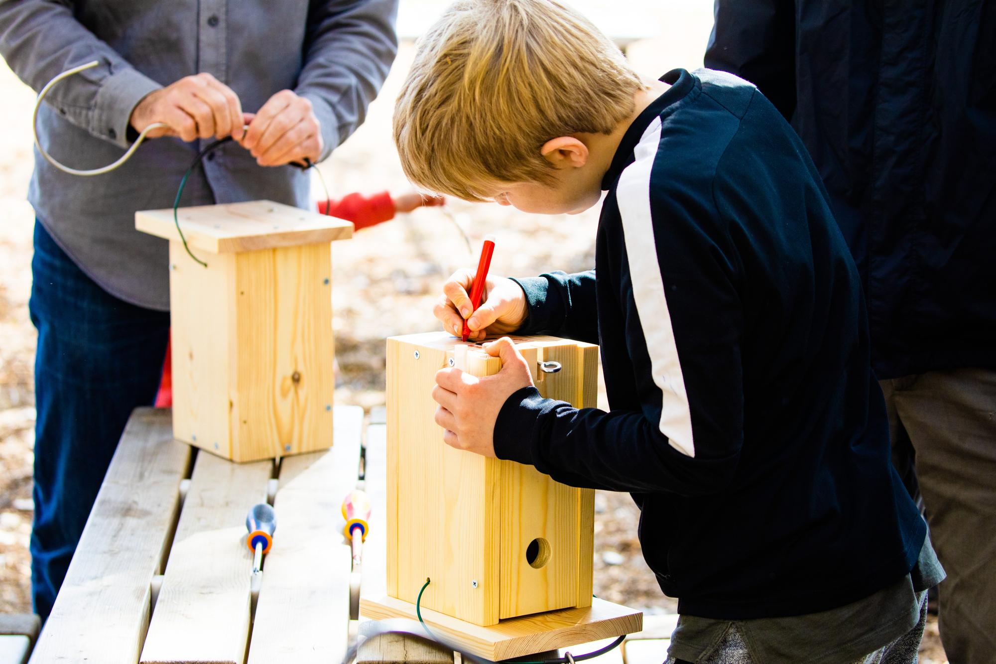 Jugatecambiental a la platja de Gavà: Taller de construcció i instal·lació de caixes niu i menjadores