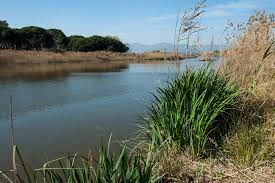 Nova edició del Dia de la Murtra