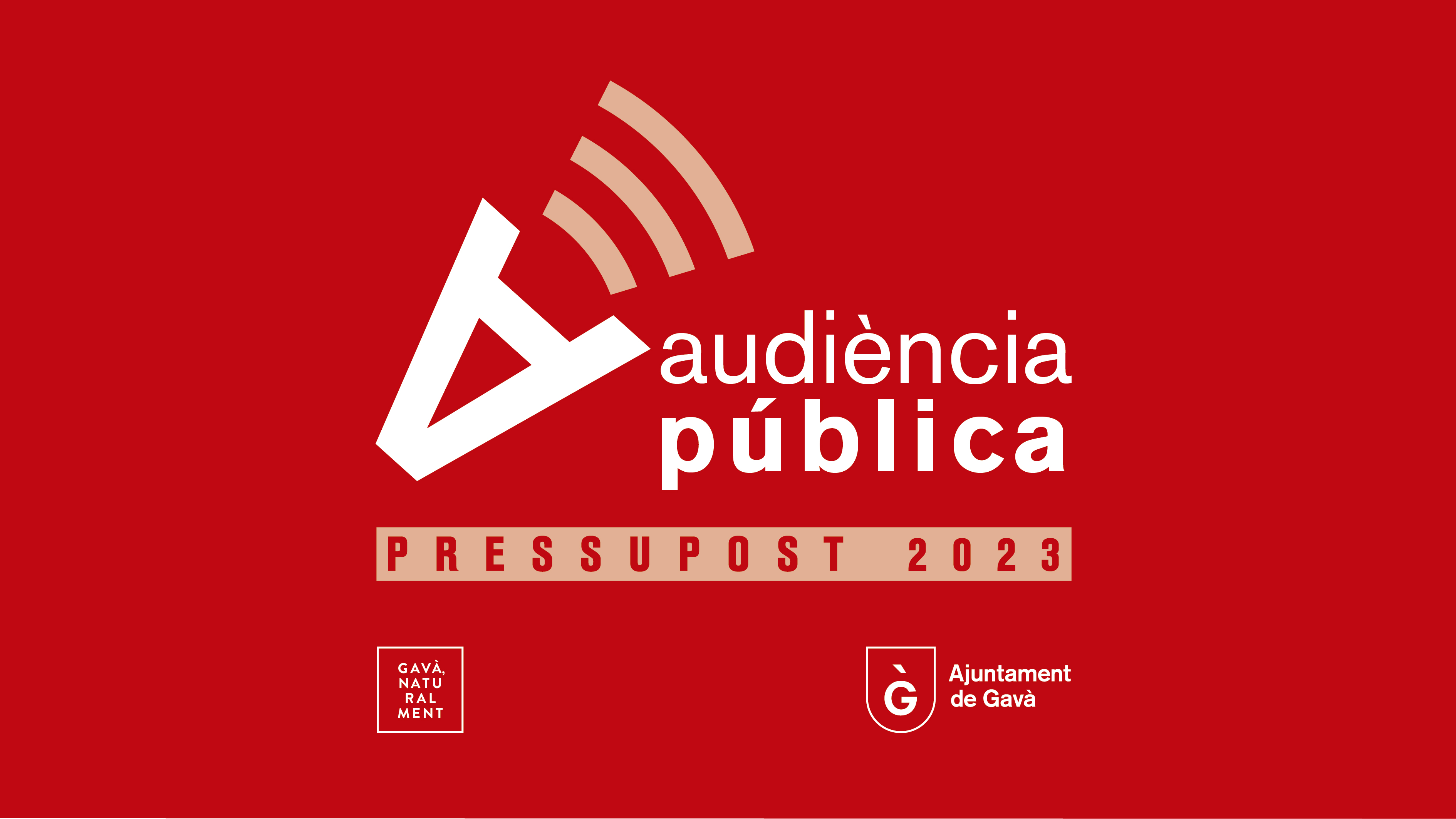 Audiencia pública de presupuestos