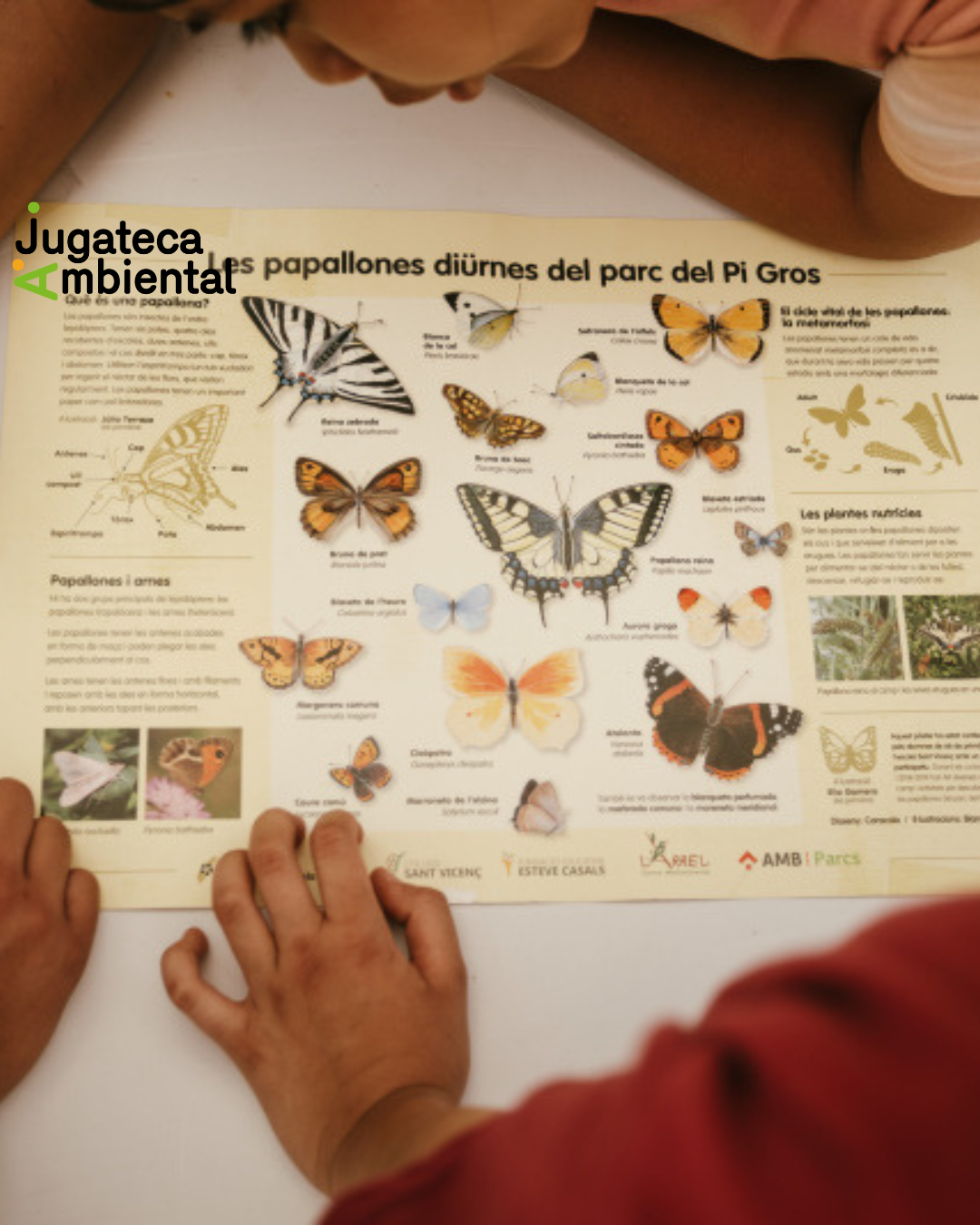 El día de las mariposas: nueva actividad de la Jugatecambiental
