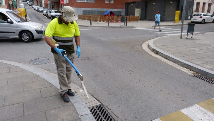 Refuerzo de las medidas y el tratamiento contra las plagas de cucarachas