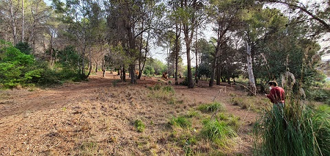 Limpieza y mantenimiento en el turó del Calamot