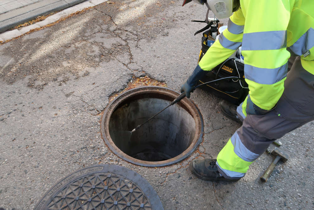 L'Ajuntament intensifica la campanya de control de plagues durant l'estiu