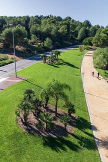 Vista aérea de un camino para peatones con zona verde natural a los lados