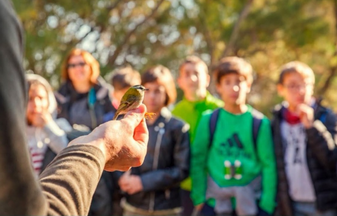 Gavà celebra el Dia Mundial dels Ocells amb una jornada a l’Estany de la Murtra