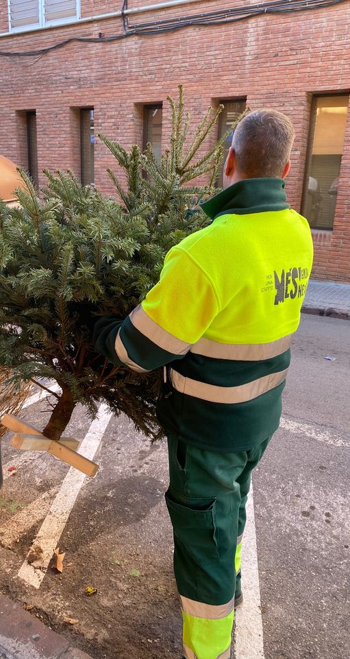 Recollida d'arbres de Nadal