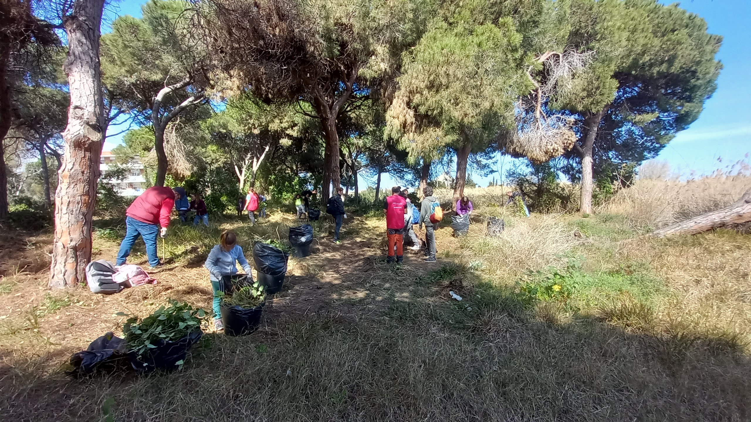 Celebració Dia de la Murtra