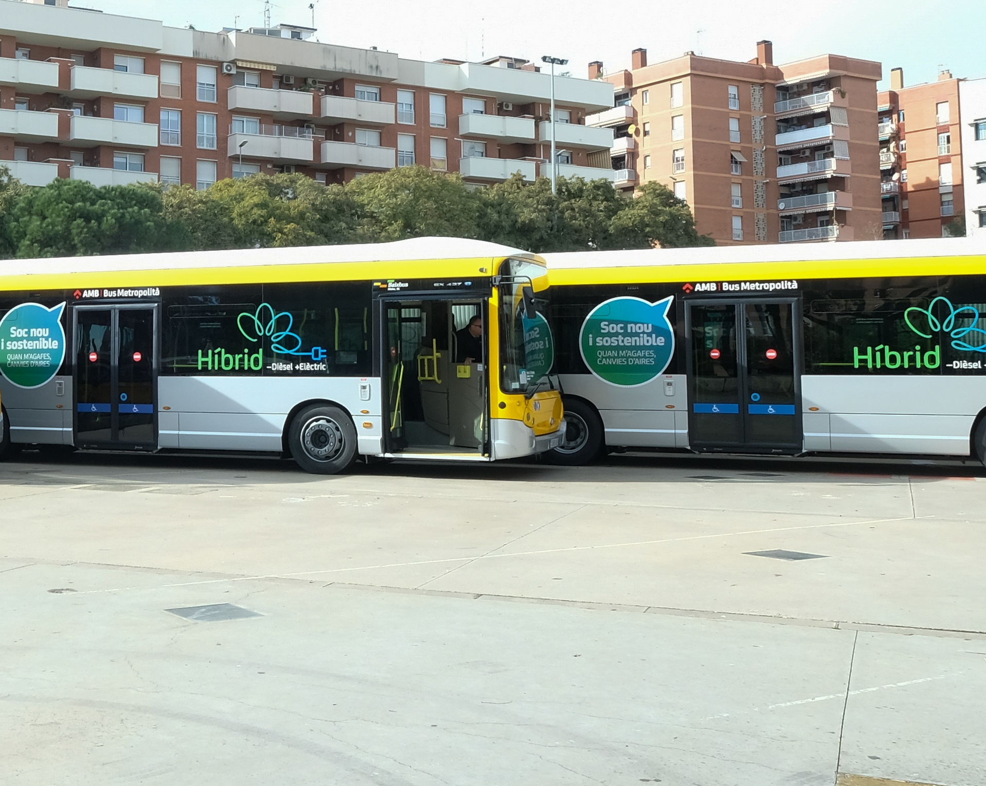 En marxa les noves línies de bus exprés